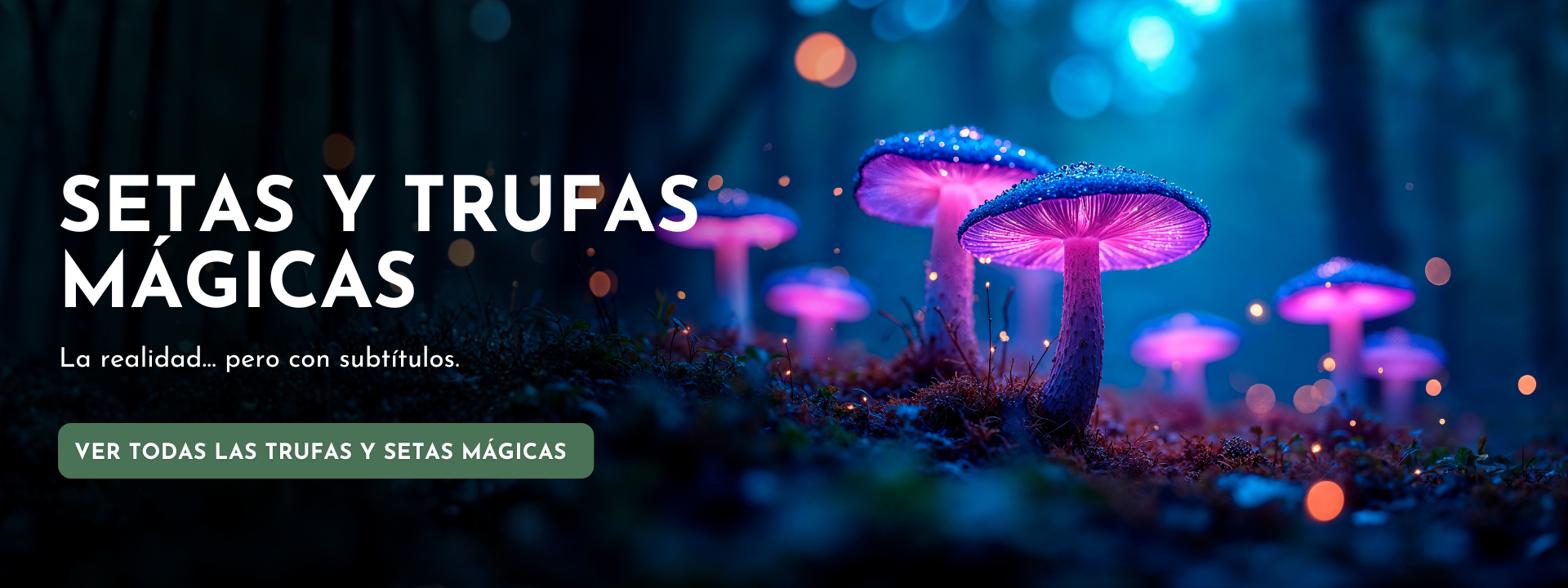 Banner de setas y trufas m&aacute;gicas